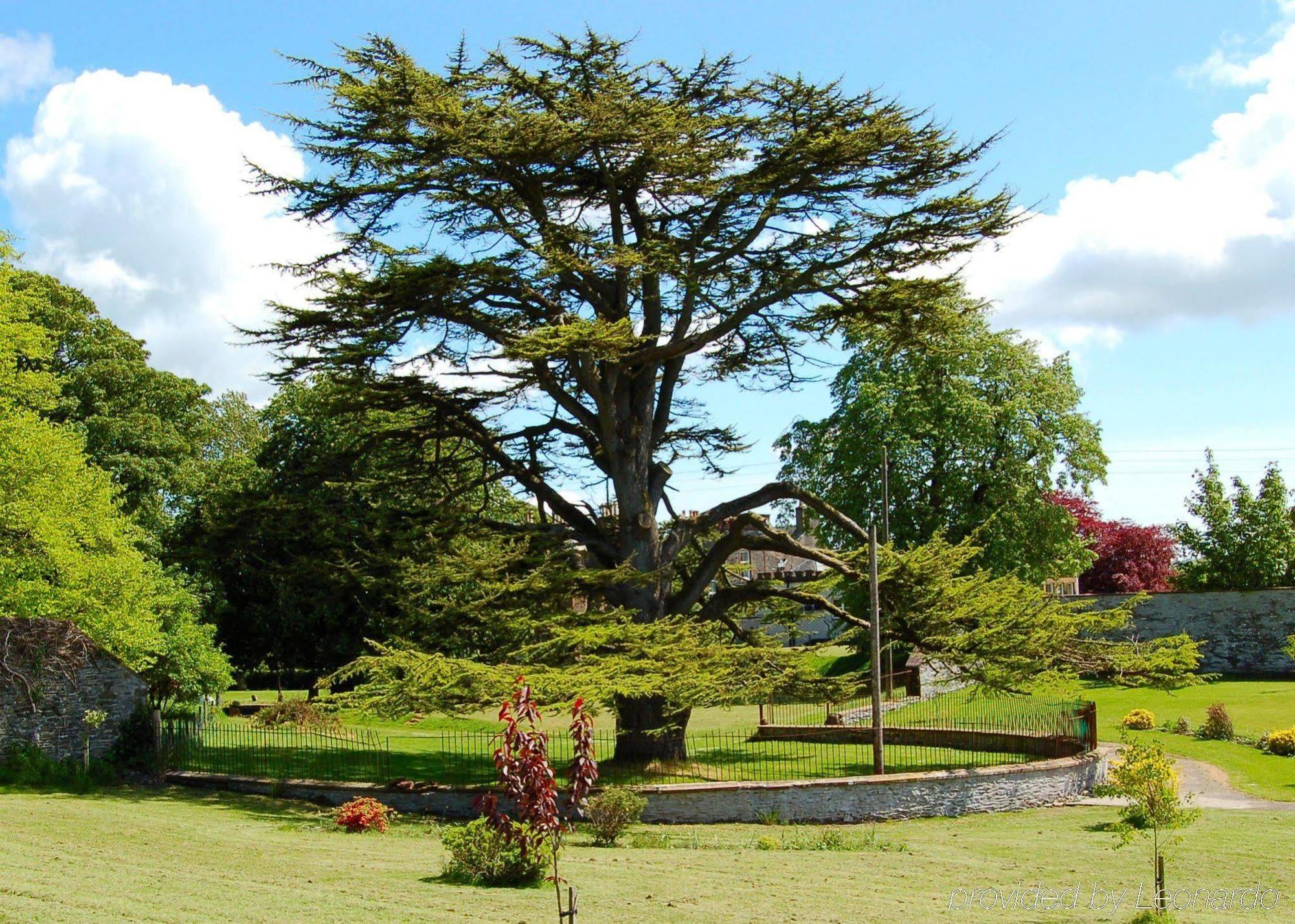 The Urr Valley Country House Hotel Castle Douglas Εξωτερικό φωτογραφία